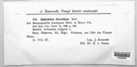 Image Associated With the Occurence